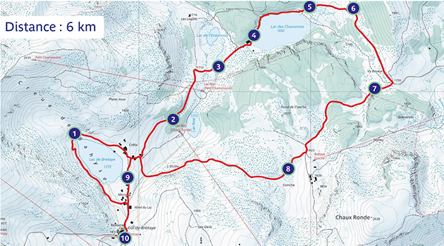 CARTE_VISU_CHASSE_TRESOR_ECUREUIL